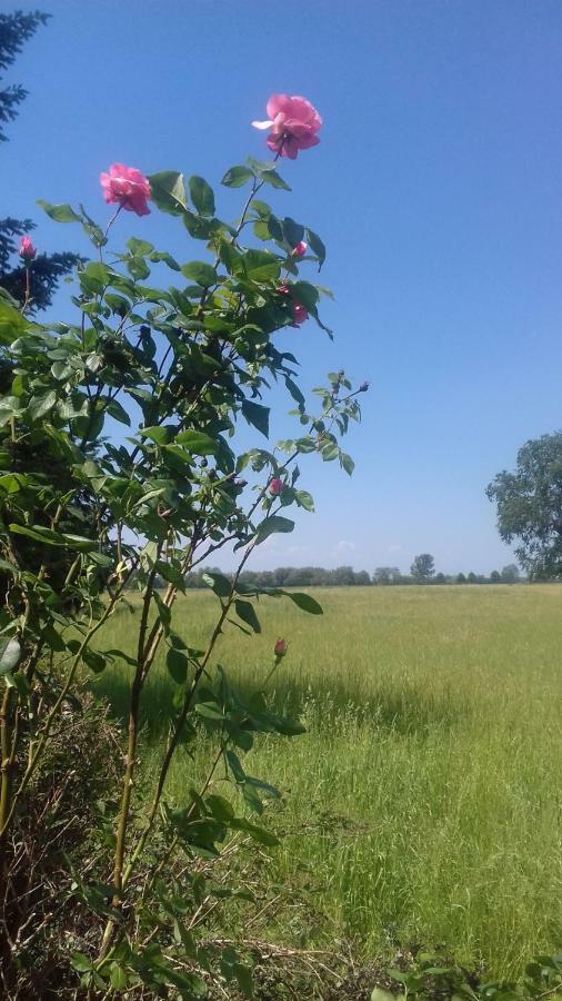 Gaestezimmer Manschnow Bagian luar foto